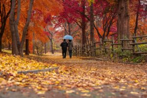 A couple walking in a park in autumn