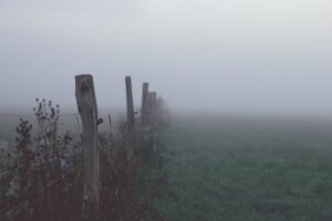 The way forward obscured by the fog