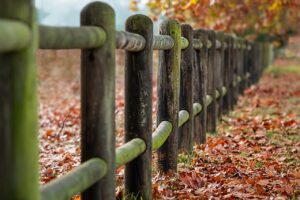 A wooden fence, a barrier between two places