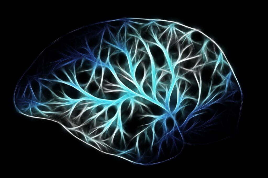 A graphic representation of the human brain with glowing neural pathways