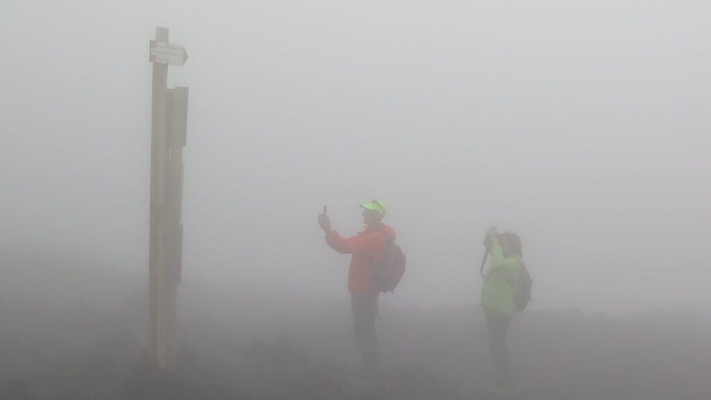 Two people in the fog, looking at a sign. They are seeking direction.