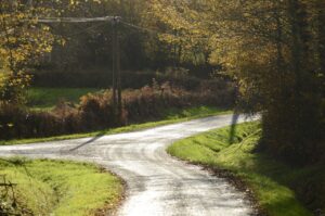 A country road, lined with grass verges and trees. There is a fork in the road, offering choices and a change of direction.