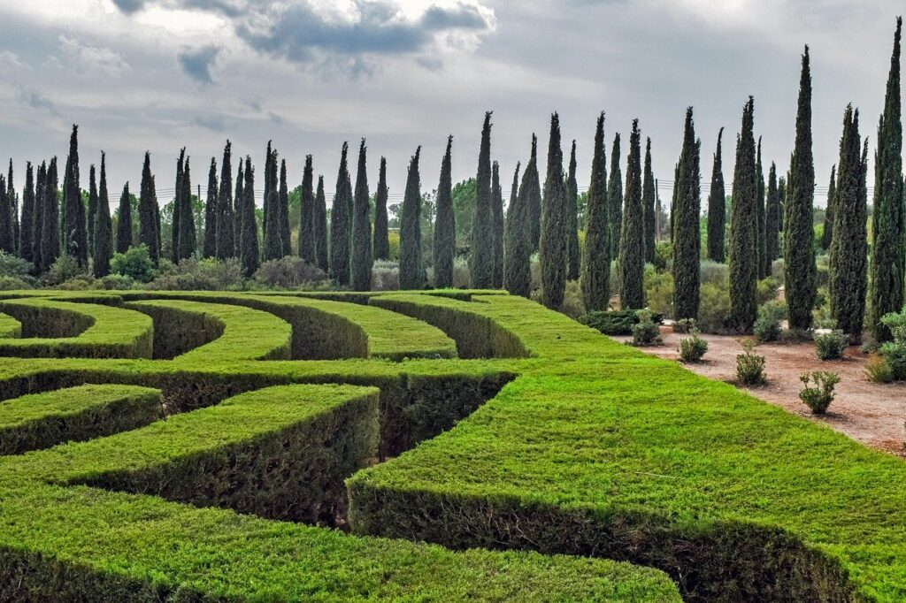 A hedge cut to form a maze, with lots of different directions and options. What's the right path to follow?