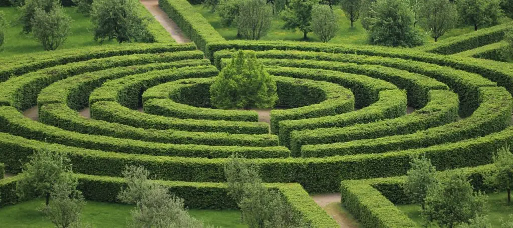 A maze cut out of hedges, forming multiple circles within circles