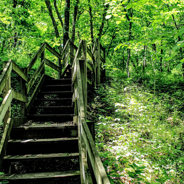 14 powerful steps to reframing a better world