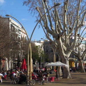 Outdoor city cafe scene with diners seated under red and black umbrellas and leafless trees on a sunny day in front of buildings.