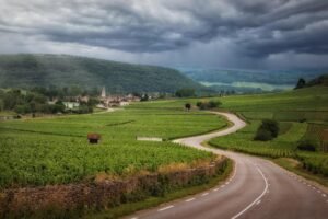 Winding road through a vineyard toward a village with a church, green hills, and dark storm clouds above.
